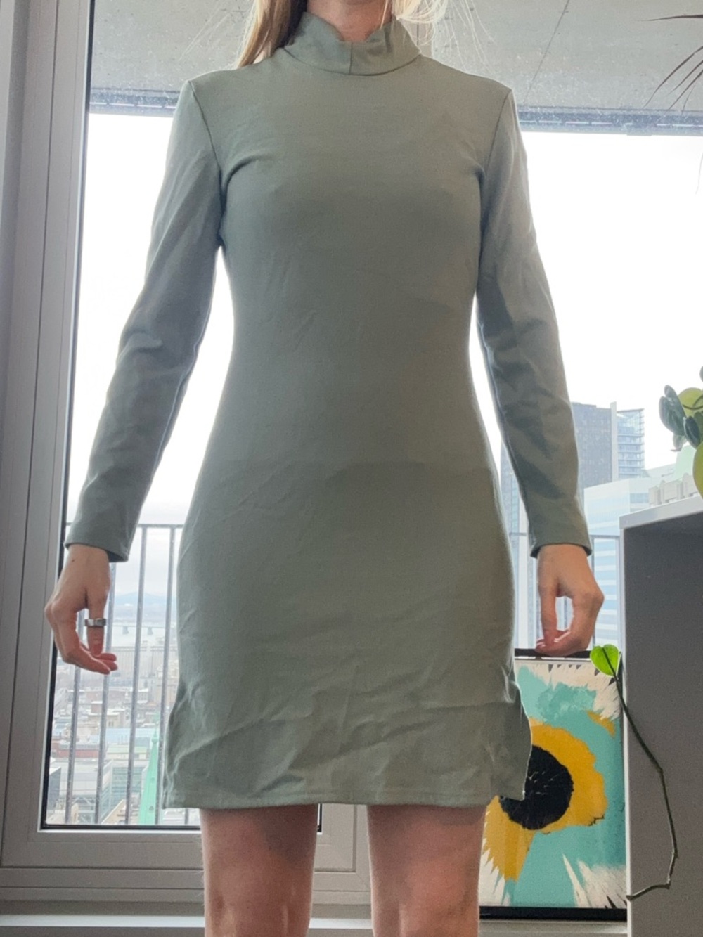 Sage Green Mock Neck Long-Sleeve Mini Dress (handmade)